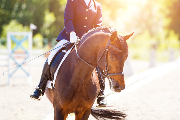 Houghton International Horse Trials 2019: Alison Lee of Lime Kiln Farm Equestrian Centre