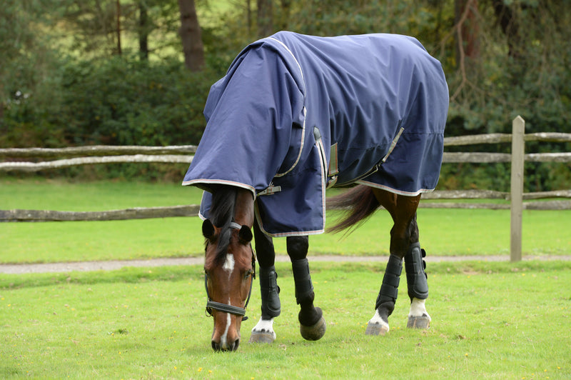 Weatherbeeta Comfitec Essential Detach-A-Neck Medium Turnout Rug (220g)