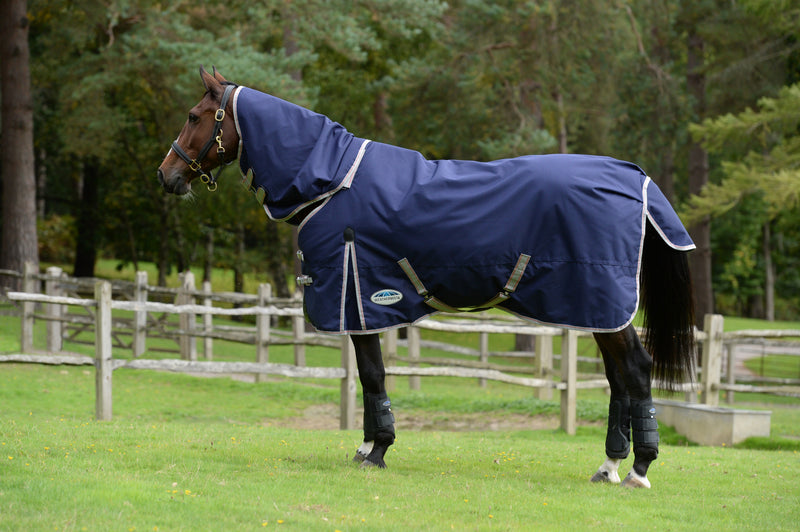 Weatherbeeta Comfitec Essential Detach-A-Neck Medium Turnout Rug (220g)