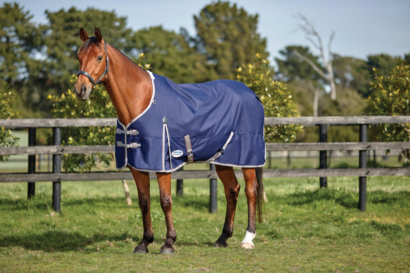 Weatherbeeta Comfitec Essential Standard Neck Lite Plus Turnout Rug (50g)