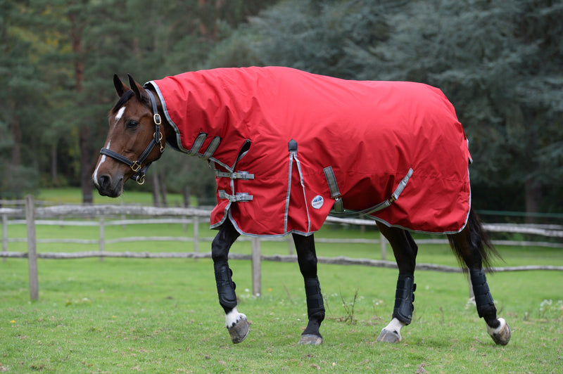 Weatherbeeta Comfitec Combo Medium Turnout Rug (220g)