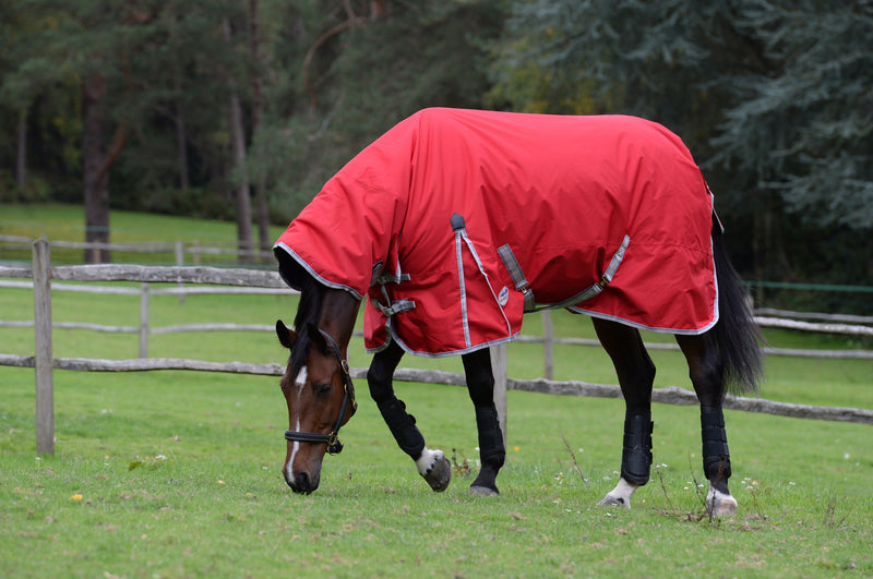 Weatherbeeta Comfitec Combo Medium Turnout Rug (220g)