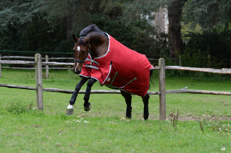 Weatherbeeta Comfitec Classic Standard Neck Medium Turnout Rug (220g)