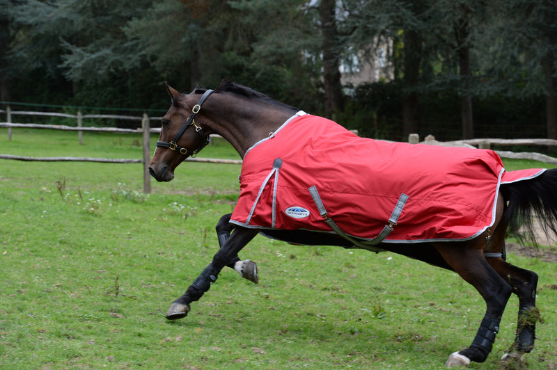 Weatherbeeta Comfitec Classic Standard Neck Medium Turnout Rug (220g)