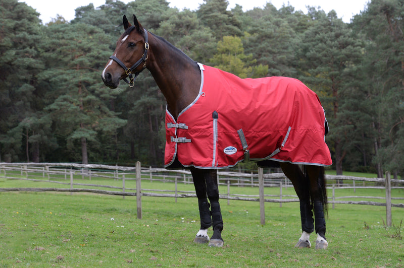 Weatherbeeta Comfitec Classic Standard Neck Medium Turnout Rug (220g)