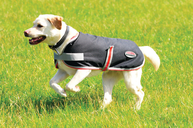 Weatherbeeta Comfitec 1200D Therapy-Tec Dog Coat