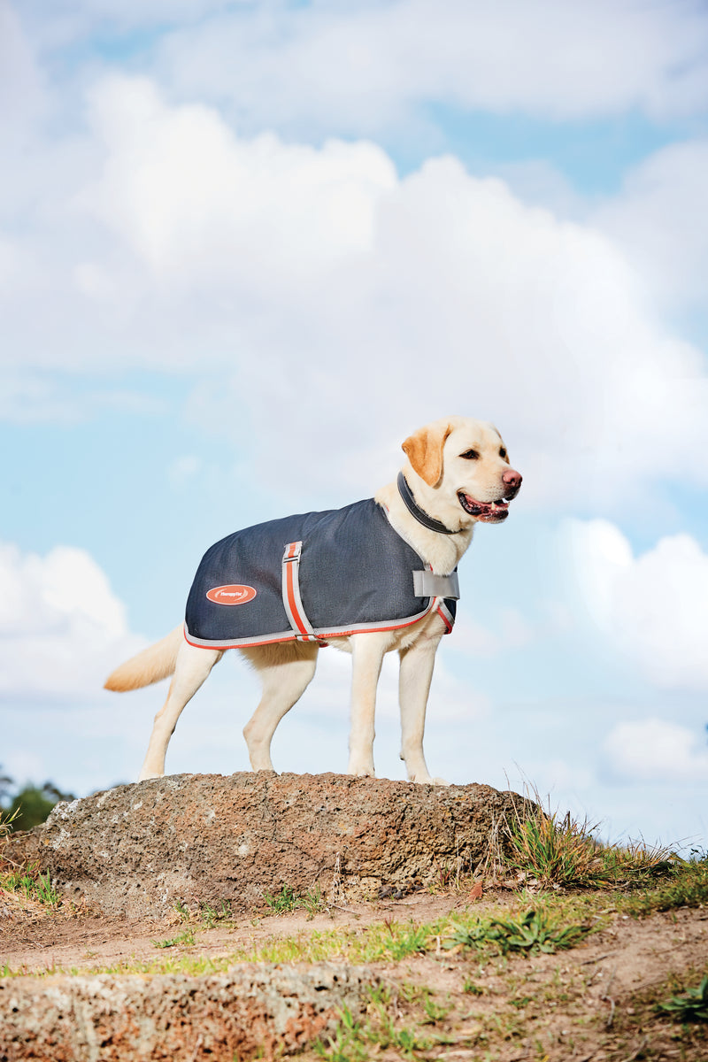 Weatherbeeta Comfitec 1200D Therapy-Tec Dog Coat