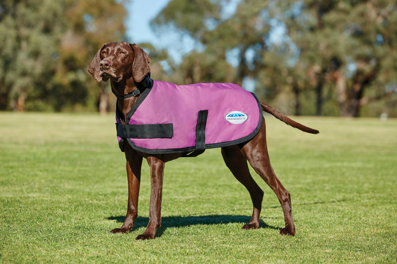 Weatherbeeta ComFiTec Classic Dog Coat (100g)