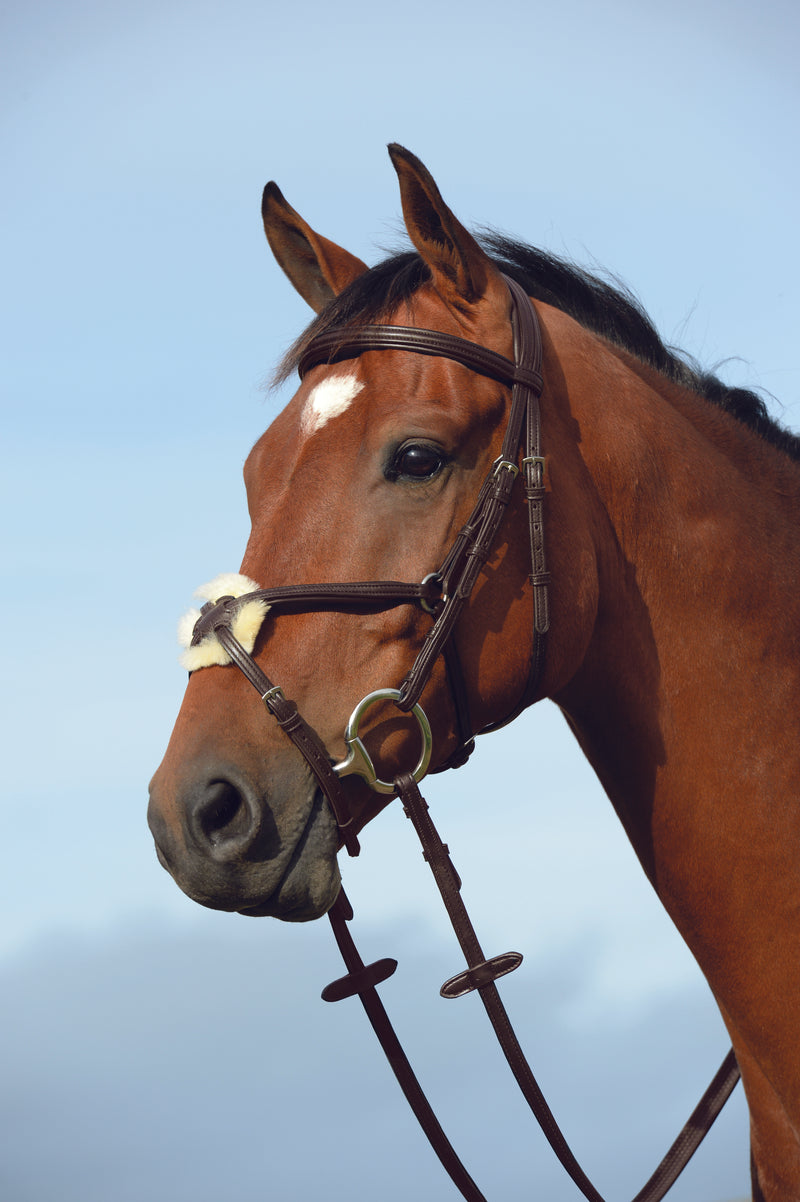 Collegiate Syntovia + Padded Raised Figure 8 Bridle