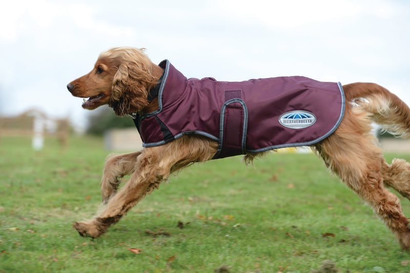 Weatherbeeta Comfitec Windbreaker Free Deluxe Dog Coat