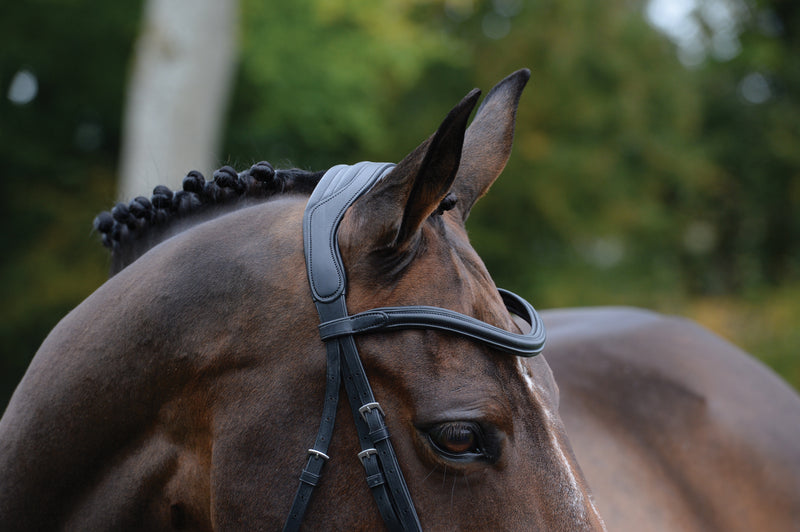 Collegiate Comfitec Vogue Anatomical Bridle