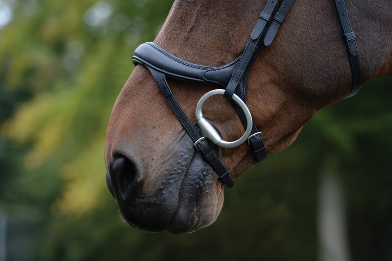 Collegiate Comfitec Vogue Anatomical Bridle