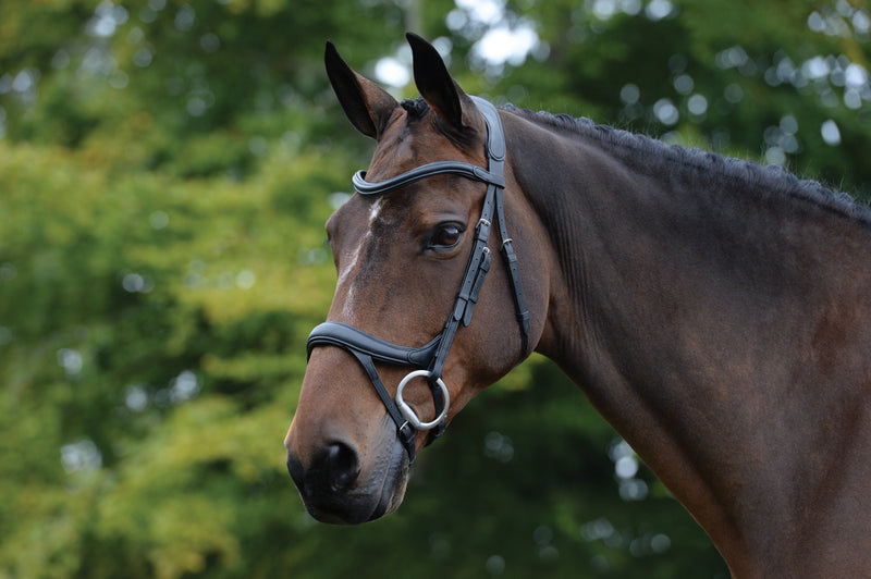 Collegiate Comfitec Vogue Anatomical Bridle