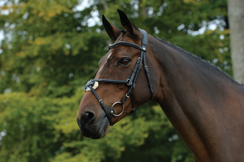 Collegiate Comfitec Grackle Bridle