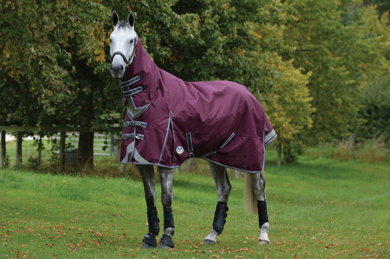 Weatherbeeta Comfitec Plus Dynamic II Combo Lite Turnout Rug