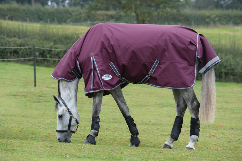 Weatherbeeta Comfitec Plus Dynamic II Combo Lite Turnout Rug