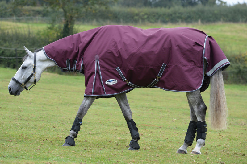 Weatherbeeta Comfitec Plus Dynamic II Combo Lite Turnout Rug