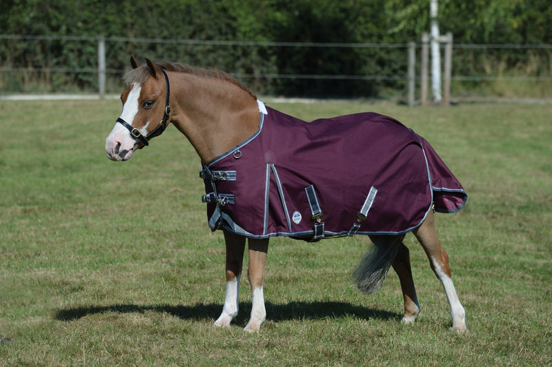 Weatherbeeta Comfitec Plus Dynamic II Standard Neck Lite Turnout Rug