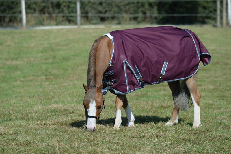 Weatherbeeta Comfitec Plus Dynamic II Standard Neck Lite Turnout Rug