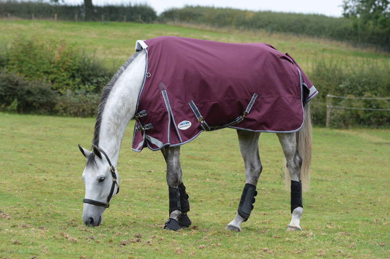 Weatherbeeta Comfitec Plus Dynamic II Standard Neck Lite Turnout Rug