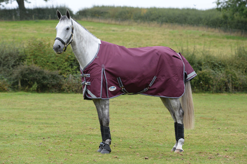 Weatherbeeta Comfitec Plus Dynamic II Standard Neck Lite Turnout Rug