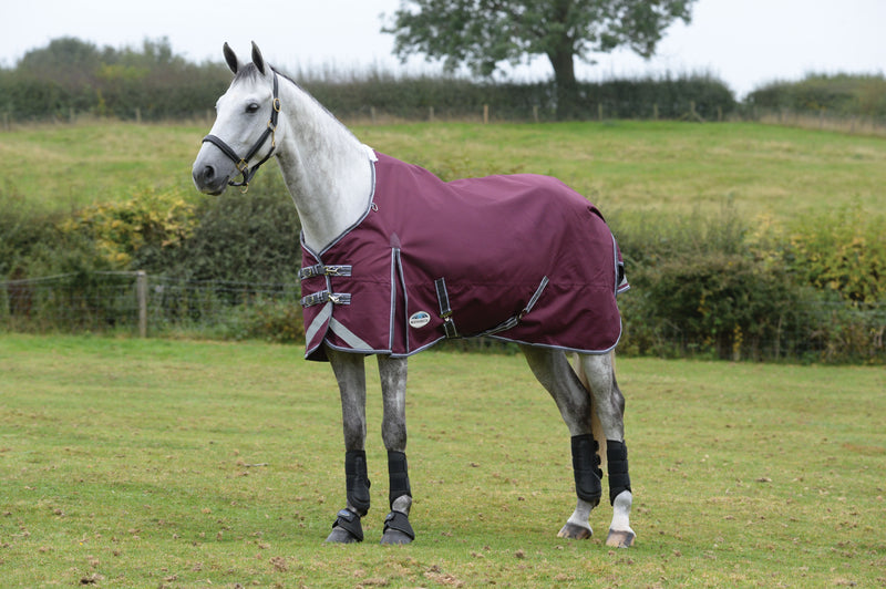 Weatherbeeta Comfitec Plus Dynamic II Standard Neck Lite Turnout Rug