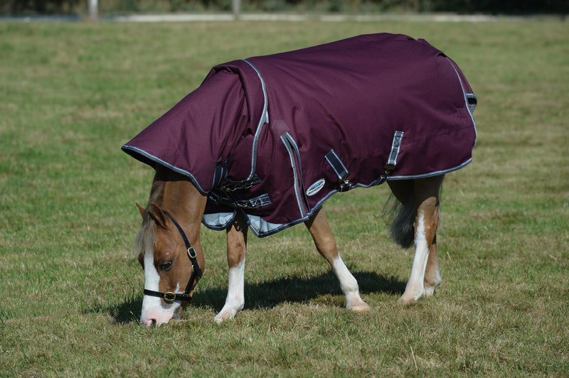 Weatherbeeta Comfitec Plus Dynamic II Detach-A-Neck Lite Turnout Rug