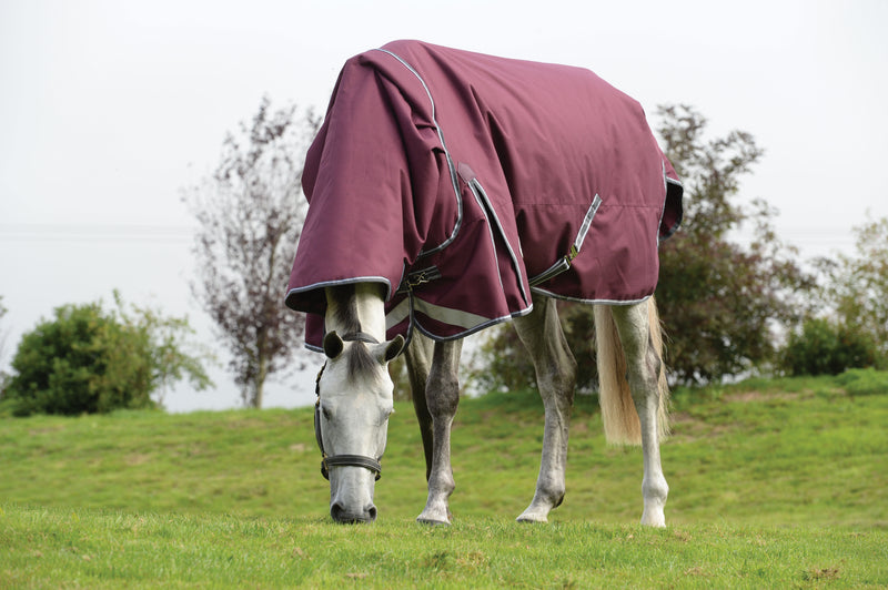 Weatherbeeta Comfitec Plus Dynamic II Detach-A-Neck Lite Turnout Rug