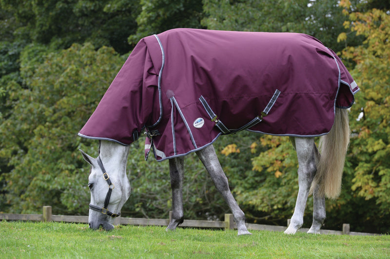 Weatherbeeta Comfitec Plus Dynamic II Detach-A-Neck Lite Turnout Rug