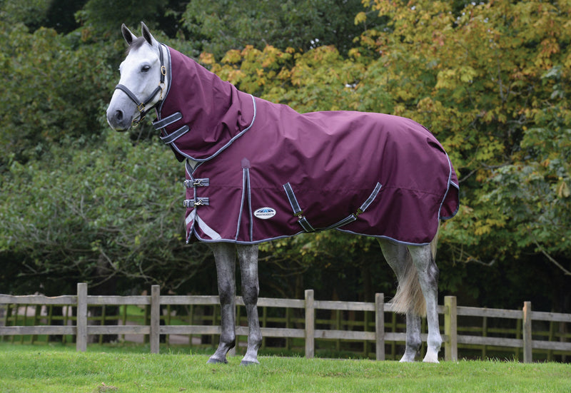 Weatherbeeta Comfitec Plus Dynamic II Detach-A-Neck Lite Turnout Rug