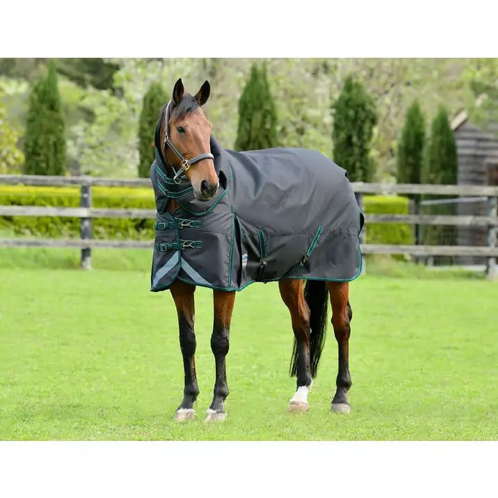 Weatherbeeta Comfitec Plus Dynamic II Detach-A-Neck Turnout Rug Medium/Lite (100g)