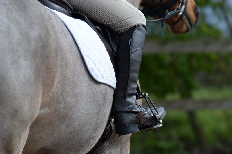 Dublin Suede Half Chaps II