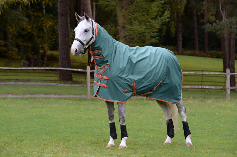 Weatherbeeta Comfitec Tyro Combo Medium Turnout Rug (200g)