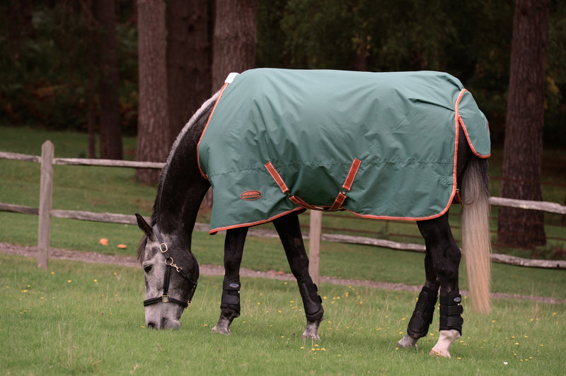 Weatherbeeta Comfitec Tyro Standard Neck Medium Turnout Rug (200g)