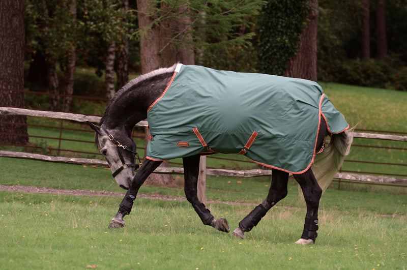 Weatherbeeta Comfitec Tyro Standard Neck Medium Turnout Rug (200g)