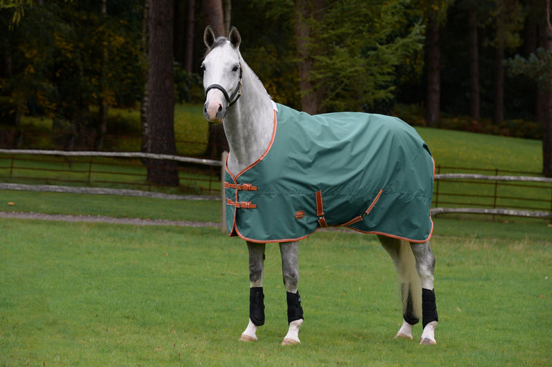 Weatherbeeta Comfitec Tyro Standard Neck Turnout Rug Lite Plus (50g)