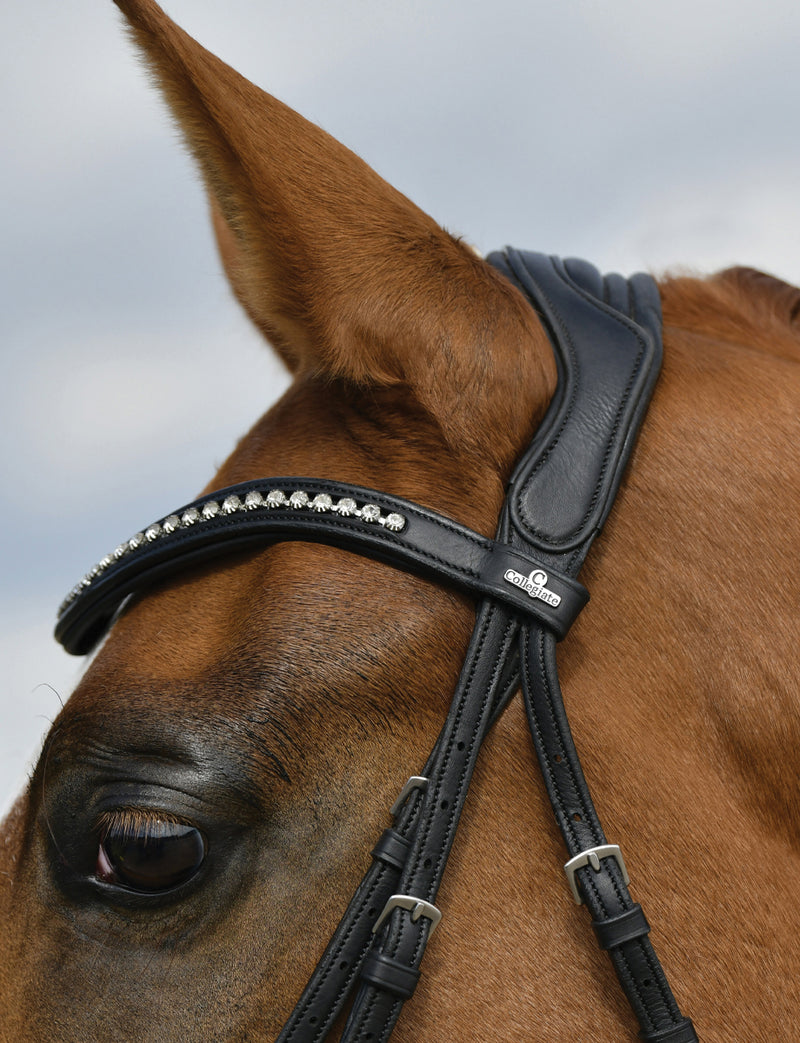 Collegiate Comfitec Opulux Padded Dressage Bridle