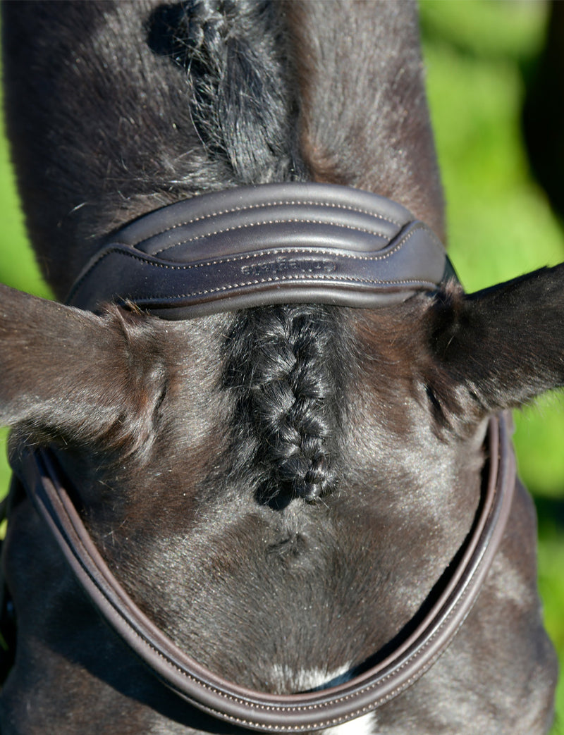 Collegiate Comfitec Opulux Plain Padded Grackle Bridle