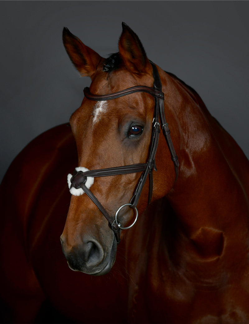 Collegiate Comfitec Opulux Plain Padded Grackle Bridle