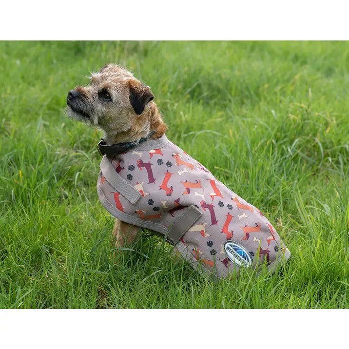 Weatherbeeta ComFiTec Essential Dog Coat - Dachshund Print