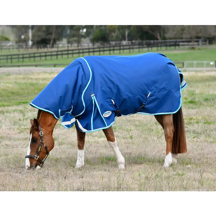 Weatherbeeta Comfitec Ultra Hardi Detach-A-Neck Medium/Lite Turnout Rug