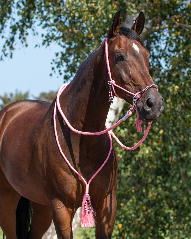 Liberty Rope Halter