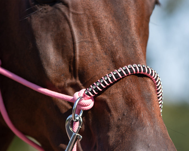 Liberty Rope Halter