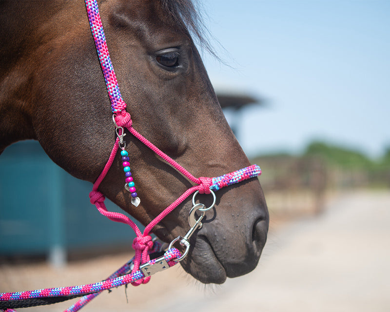 Liberty Rope Halter