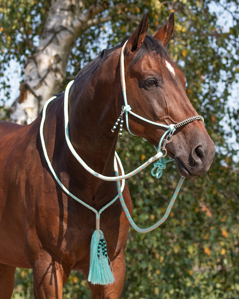 Liberty Rope Halter