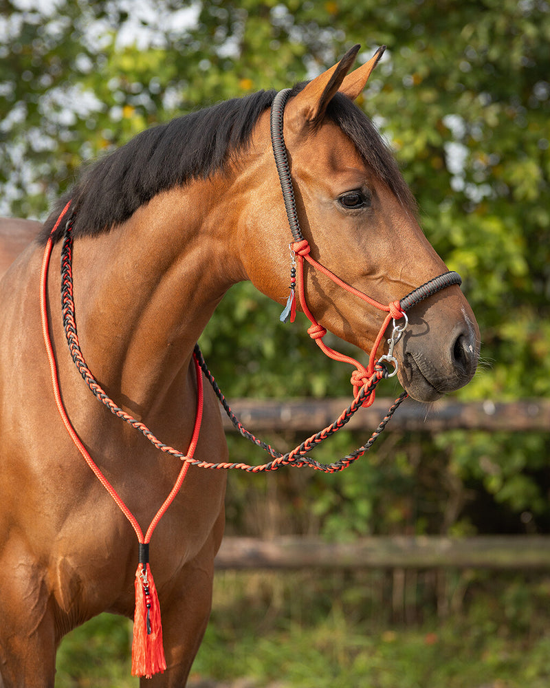 Liberty Rope Halter