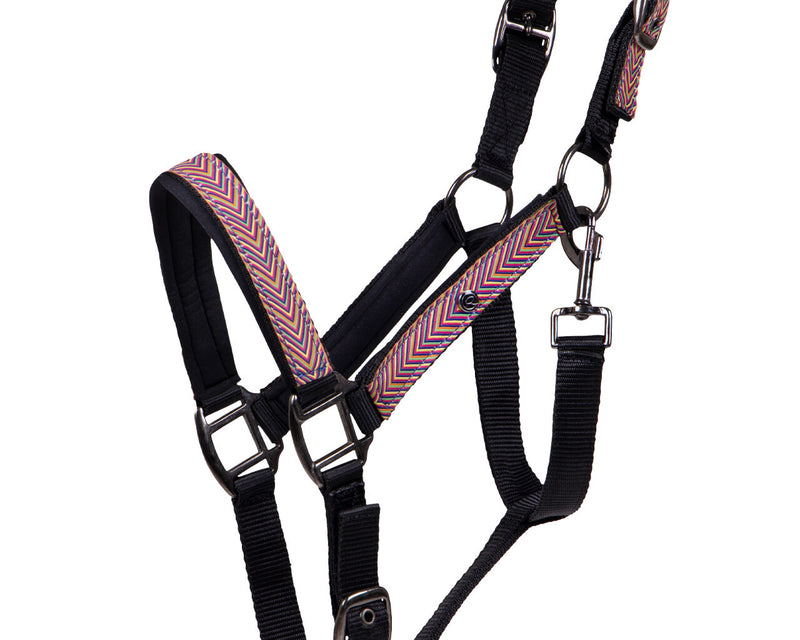 Multi Coloured Headcollar Set