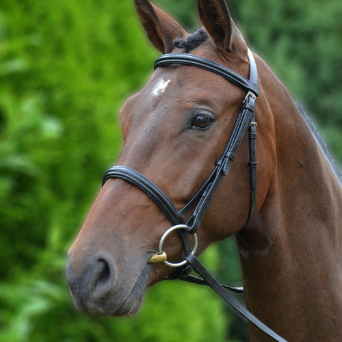 Hy Equestrian Padded Cavesson Bridle with Rubber Grip Reins