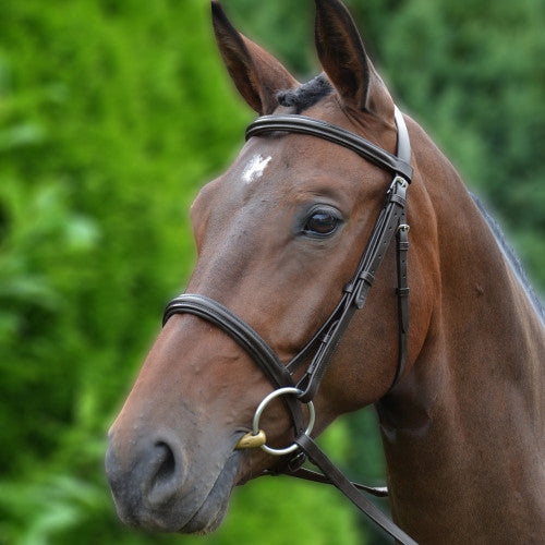 Hy Equestrian Padded Cavesson Bridle with Rubber Grip Reins