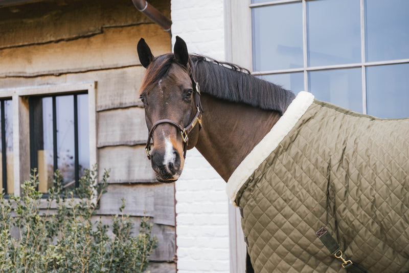 Kentucky Horsewear Show Rug Khaki